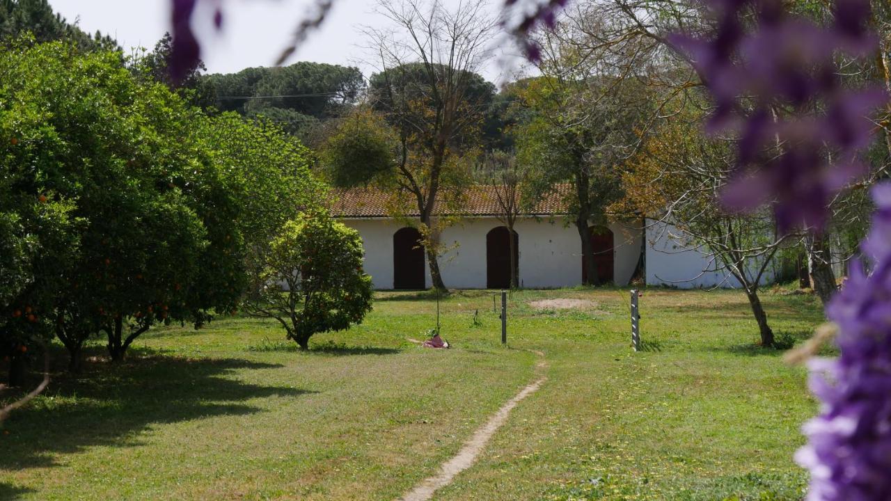 Вілла El Alfoli. Casa Rural Cerca Del Mar Альхараке Екстер'єр фото